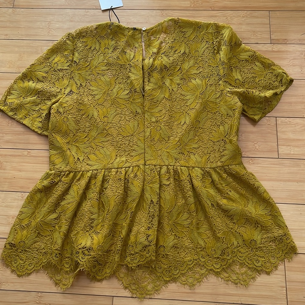 Zara women Lace Peplum Blouse Short Sleeve Back Zipper Lined Medium NWT - Picture 3 of 7